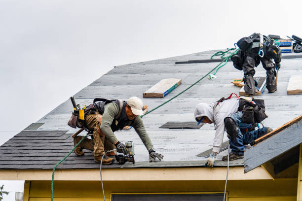 Professional Roofing technician working in Havana, IL